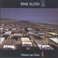Pink Floyd - Momentary Lapse Of Reason