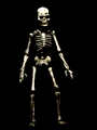 Halloween Gif 