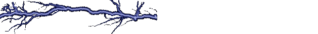 Halloween Gif 