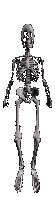 Halloween Gif 