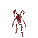 Halloween Gif 