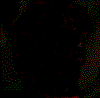 Halloween Gif 