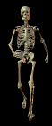 Halloween Gif 